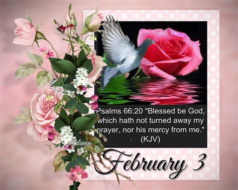 february  quote pictures   images  facebook tumblr