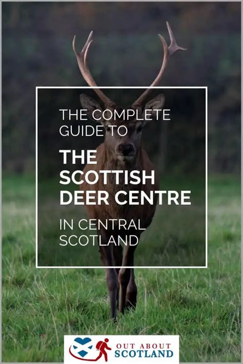 The Scottish Deer Centre Visitor Guide | Fife