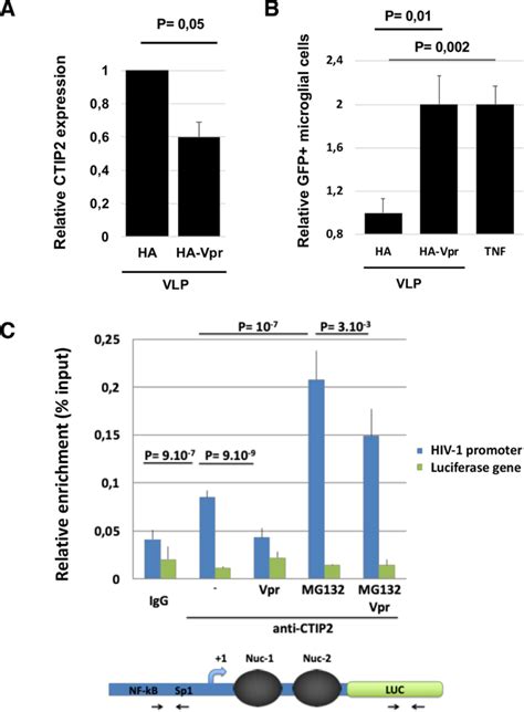 Hiv Vpr Mediates The Depletion Of The Cellular Repressor Ctip To