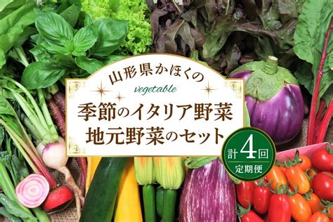 ※8月発送開始※【年4回お届け】山形かほくの季節のイタリア野菜・地元野菜のおまかせセット【かほくらし社】｜ふるラボ