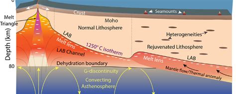 The Lithosphere Asthenosphere Boundary And The Gutenberg Discontinuity