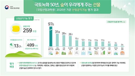 인사이트 현재 우리가 보유한 산림가치는 얼마나 될까