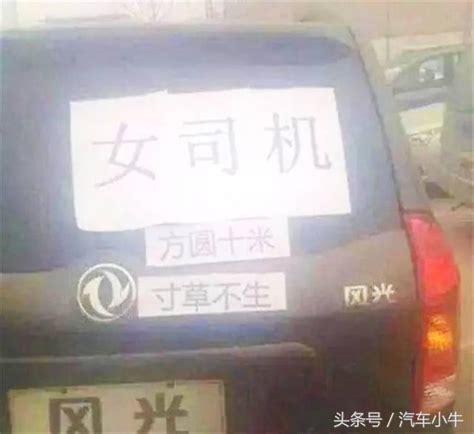 超級霸氣的女司機，連裝甲車都敢撞，方圓十米寸草不生 每日頭條