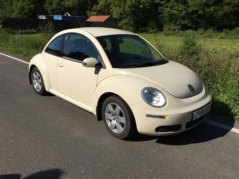 Very Cute Beetle | in Southampton, Hampshire | Gumtree