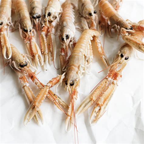 Norway Lobster (Langoustines) | Norway lobster, Lobster, Scampi