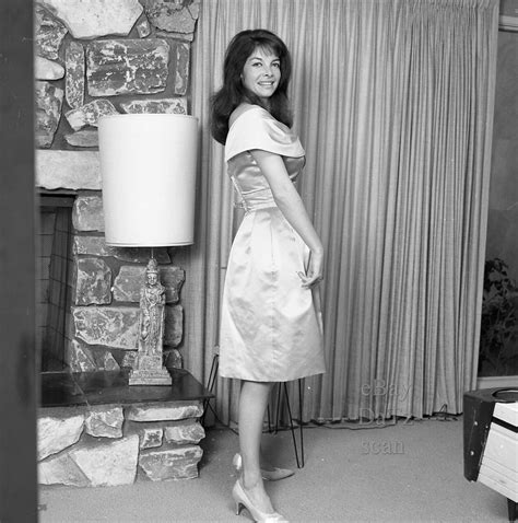 1960s Negative Sexy Brunette Pinup Girl Brenda Cervantes Cheesecake