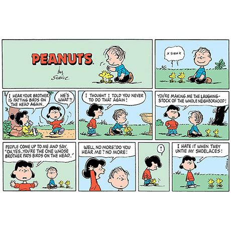 Peanuts Every Sunday The 1990s Gift Box Set Book Collection Shop