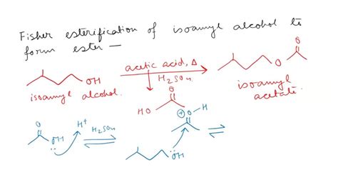 Solved What Is The Mechanism Of The Fischer Esterification Of Acetic