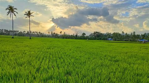 Malinis Na Kalsada Papuntang Bayan Kalsadang Probinsya Probinsya