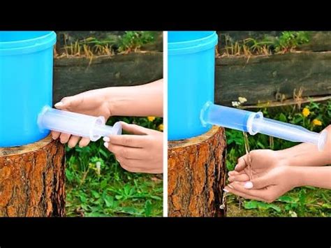 ASTUCES UTILES POUR LE JARDIN QUI FONCTIONNENT VRAIMENT YouTube