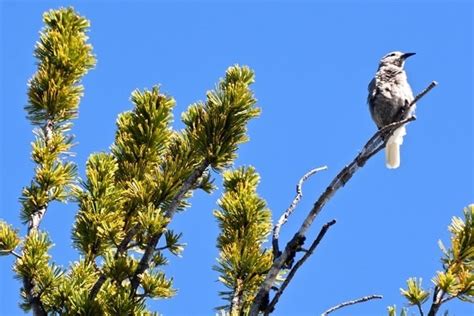 Wonder For All Oregons Public Lands Travel Oregon