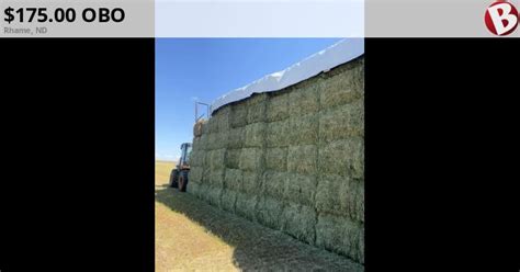 X Large Square Nd Cutting Alfalfa Hay For Sale Rhame Nd