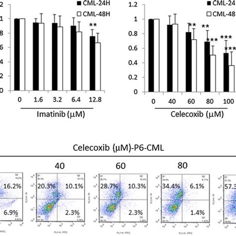 Pdf Celecoxib Suppresses Autophagy And Enhances Cytotoxicity Of