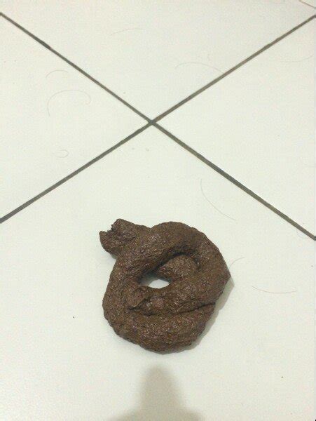 Jual Mainan Tai Atau Fake Poop Di Lapak Robiechaf Bukalapak