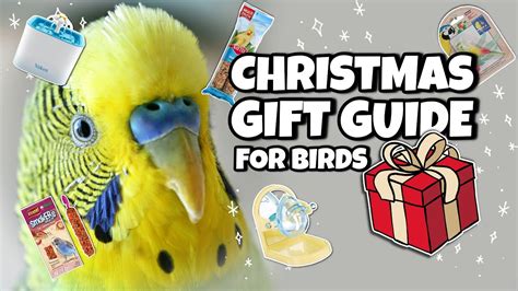 Amazon Bird T Guide For Christmas Youtube