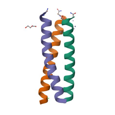 Rcsb Pdb U U De Novo Three Stranded Coiled Coil Peptide Containing