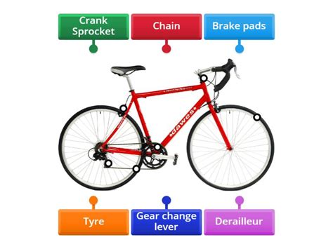 Bike parts identification - Labelled diagram