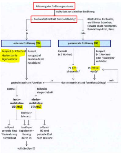 V Formen Der Klinischen Ern Hrung Ons En Pn Flashcards Quizlet