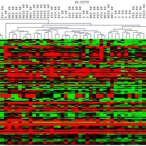 Heat Map Of Population Specific Genes Hierarchical Clustering Obtained Download Scientific