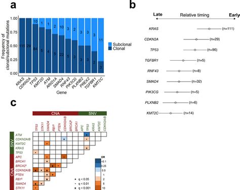 Overview Of Clonal Hierarchies And Genetic Interaction Pattern A