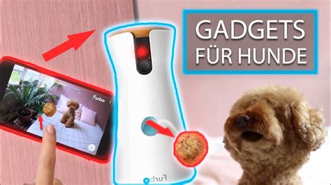 10 COOLE Gadgets für HUNDE den Kauf wert sind YouTube