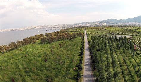 Dirençli Kentler Için Bir Çerçeve Yeşil Odaklı Uyarlama