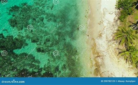 Aerial View of Tropical Beach. Philippines. Stock Video - Video of saud ...