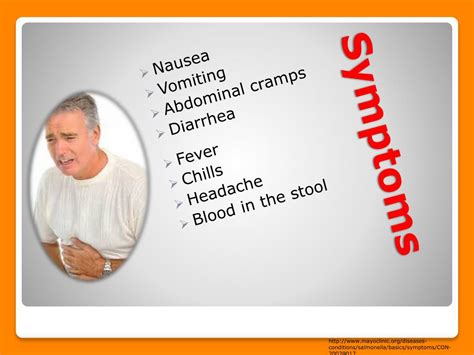 PPT - Salmonella Prevention PowerPoint Presentation, free download - ID:6999966