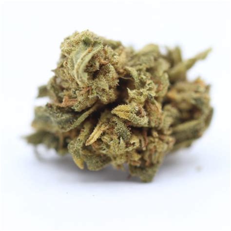 Sativa Strains Archives Crazycannabis Online Dispensary Canada Buy