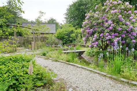 Tuin Met Inheemse Beplanting Janse En Berkhof Tuinen