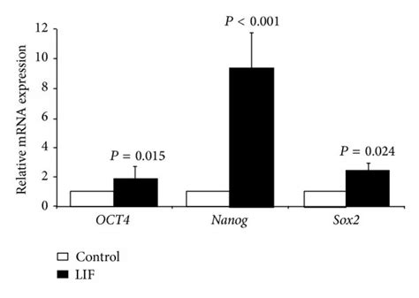 Quantitative Real Time Rt Pcr Analysis For The Expression Of Oct4