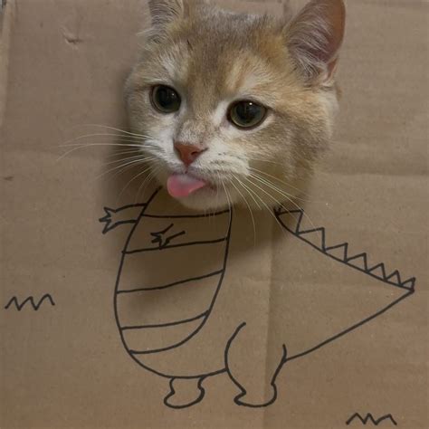 I love you on Tumblr