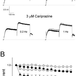 Voltage Dependent Block Of HERG 1A Currents A Whole Cell Currents