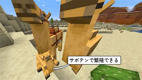 【マイクラ】防具立ての作り方と使い方 置き方とポーズ 脱・初心者を目指すマインクラフト