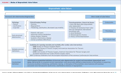 Figure 1 From Acc Aha Versus Esc Guidelines On Prosthetic Heart Valve