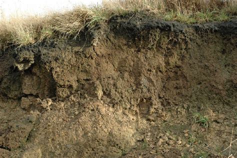 Soil Formation Chart