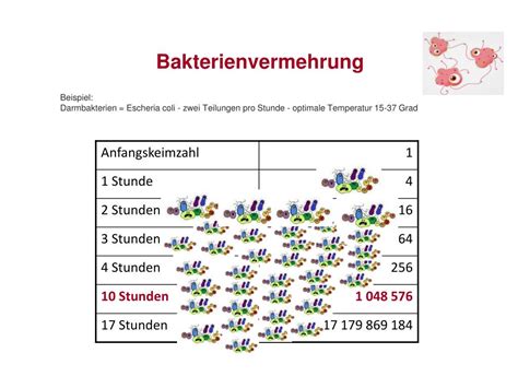 Ppt Mikroorganismen Powerpoint Presentation Free Download Id5633566