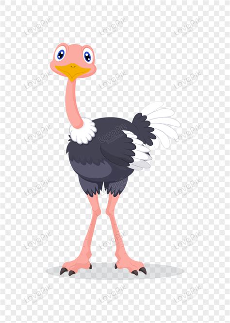 Clipart Ostrich, Stand, Wild, Comic PNG Transparent Background And ...