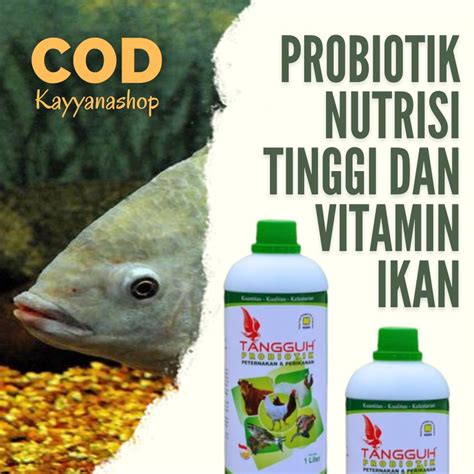 Jual Nutrisi Ikan Lele Nila Bawal Mas Patin Gurame Tawes Probiotik