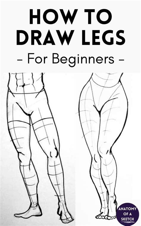 How To Draw Legs For Beginners Male Body Drawing Human Body Drawing Human Anatomy Drawing