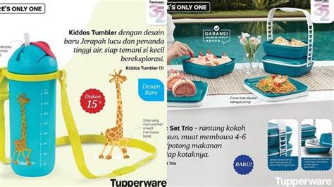 Katalog Promo Tupperware Edisi Bulan Juli Botol Minum Anak Lucu