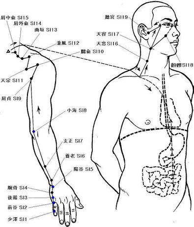 Magic Shiatsu THE Small Intestine Meridian