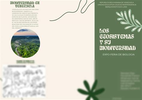 SOLUTION Folleto Importancia Sobre La Biodiversidad Studypool