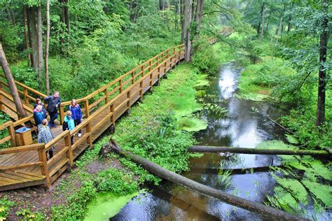 Puszcza Kozienicka wędrówka z przewodnikiem i ognisko Trips Travel