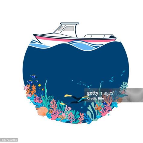 coral reef clip art   premium high res pictures getty images