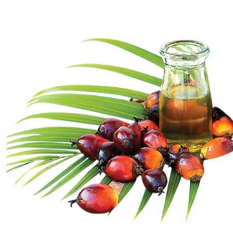 Palm Olein Oil in Hooghly, West Bengal | Palm Olein Oil Price in Hooghly