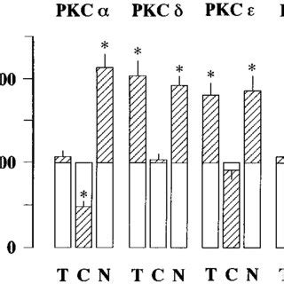 Quantitative Analysis Of The Subcellular Distribution Of Pkc Isozymes