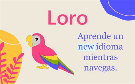 Loro Aprende Nuevas Palabras Chrome Web Store