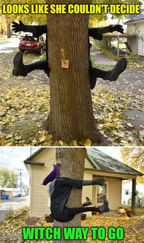 witches memes gifs imgflip
