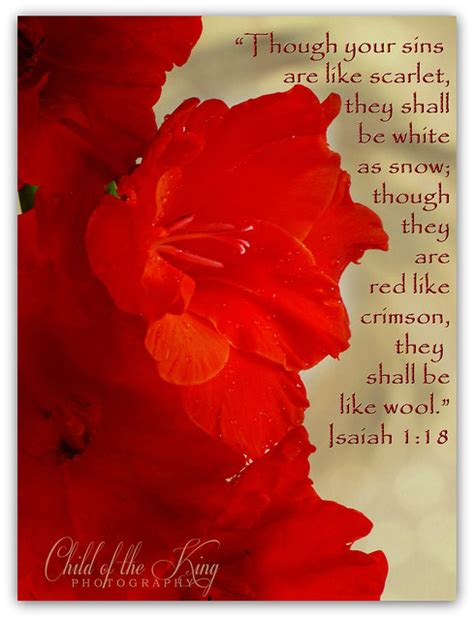 Though Your Sins Are Like Scarlet They Shall Be As White As Snow